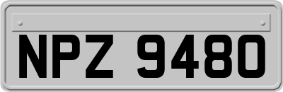 NPZ9480