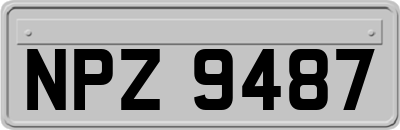NPZ9487