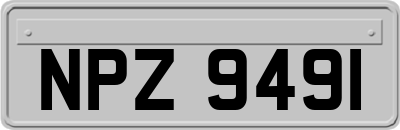 NPZ9491