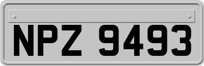 NPZ9493