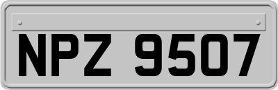 NPZ9507