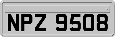NPZ9508