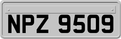 NPZ9509