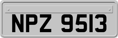 NPZ9513