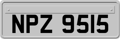 NPZ9515