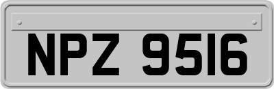 NPZ9516