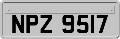 NPZ9517