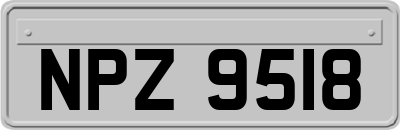 NPZ9518