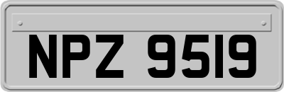 NPZ9519
