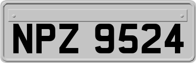 NPZ9524