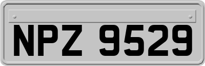 NPZ9529