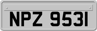 NPZ9531
