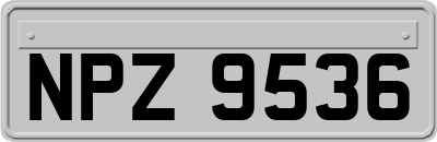 NPZ9536