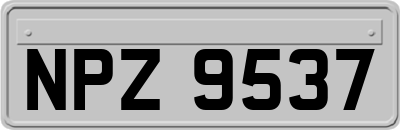 NPZ9537
