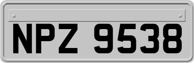 NPZ9538