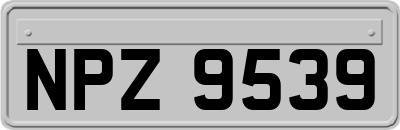 NPZ9539