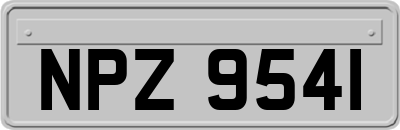 NPZ9541