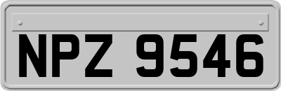 NPZ9546