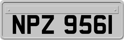 NPZ9561