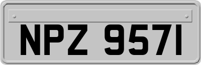 NPZ9571