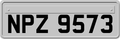NPZ9573