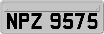 NPZ9575