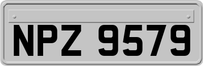 NPZ9579