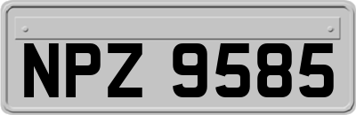 NPZ9585
