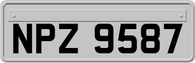 NPZ9587