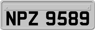 NPZ9589