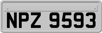 NPZ9593