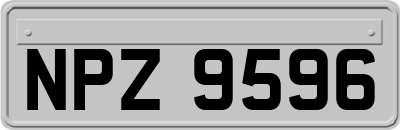 NPZ9596
