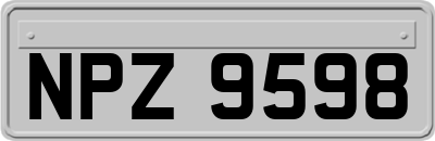 NPZ9598