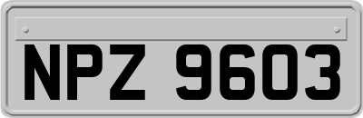NPZ9603