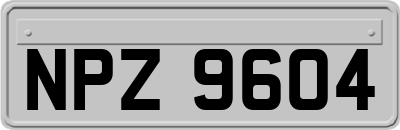 NPZ9604