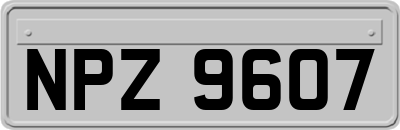 NPZ9607