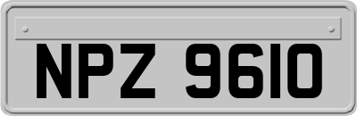 NPZ9610