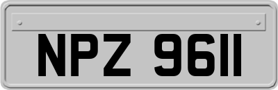 NPZ9611