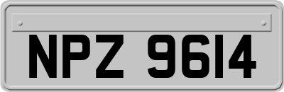 NPZ9614
