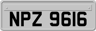 NPZ9616