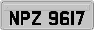 NPZ9617