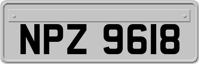 NPZ9618