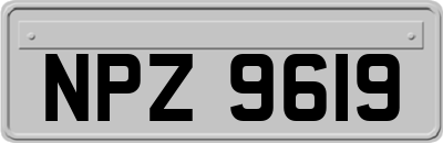 NPZ9619