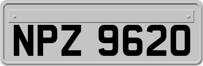 NPZ9620