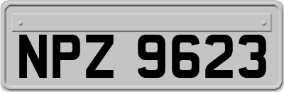 NPZ9623