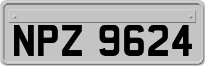 NPZ9624