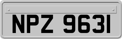 NPZ9631