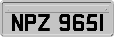 NPZ9651