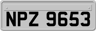 NPZ9653
