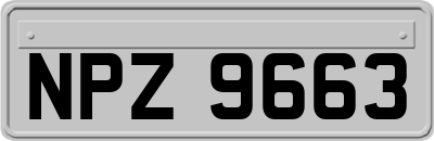 NPZ9663